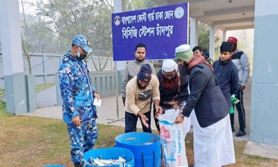 চাঁদপুর মাছঘাটে ৮ মণ জাটকা জব্দ