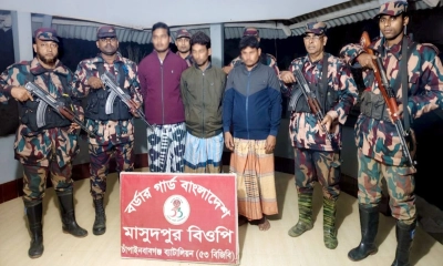 সীমান্তে বাংলাদেশি সহযোগীসহ  ২ ভারতীয় গরু চোরাকারবারি আটক