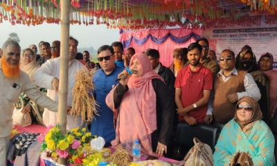 নাচোলে বিএনপির নির্বাচনি প্রচারে নারীদের বিপুল উপস্থিতি