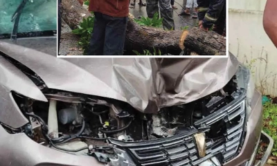 চলন্ত প্রাইভেটকারে হঠাৎ ভেঙে পড়ল গাছ