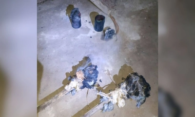 বিএনপি নেতার বাড়িতে ককটেল বিস্ফোরণ, এলাকাজুড়ে আতঙ্ক