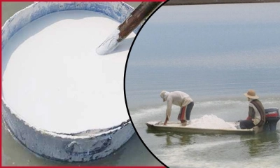 পুকুরে কেন চুন দেওয়া হয়