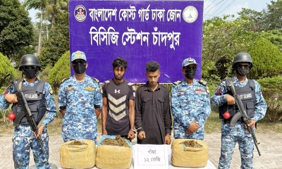 চাঁদপুরে কোস্ট গার্ডের অভিযানে ১২ কেজি গাঁজাসহ আটক ২