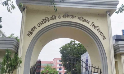 চট্টগ্রাম ভেটেরিনারি অ্যান্ড অ্যানিম্যাল সায়েন্সেস ইউনিভার্সিটির (সিভাসু)। ছবি- সংগৃহীত