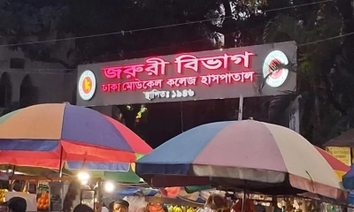 প্রেমের বিয়ের ৪ মাসের মাথায় কীটনাশক পানে তরুণীর ‘আত্মহত্যা’