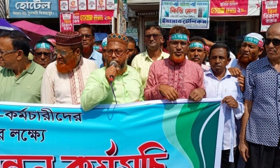 তিন দফা দাবিতে ফুলবাড়ীতে শিক্ষক-কর্মচারীদের বিক্ষোভ