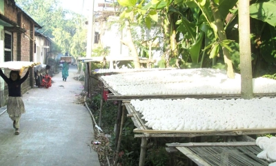 কুমড়ো বড়ি রৌদে শুকানো হচ্ছে। ছবি- রূপালী বাংলাদেশ