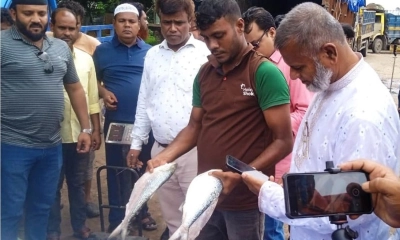 আখাউড়া দিয়ে আগরতলায় গেল ১২০০ কেজি ইলিশ