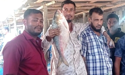 ৯ হাজার ২০০ টাকায় বিক্রি করা ইলিশটি। ছবি- রূপালী বাংলাদেশ ৯ হাজার ২০০ টাকায় বিক্রি করা ইলিশটি। ছবি- রূপালী বাংলাদেশ