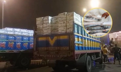 দুই দিনে বেনাপোল দিয়ে ভারতে গেল ৬৪ টন ইলিশ