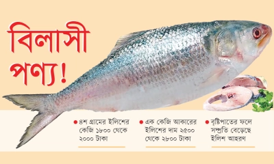 ‘বিলাসী পণ্য’ ইলিশ