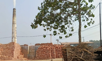 ফসলি জমির মাঝখানে অবৈধ ইটভাটা, নেই লাইসেন্স