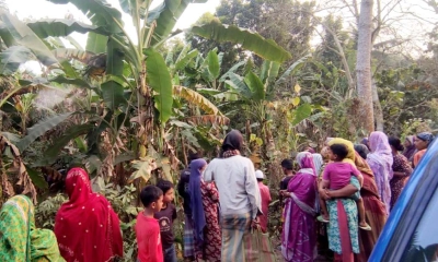 সালথায় কলাবাগান থেকে গৃহবধূর মরদেহ উদ্ধার