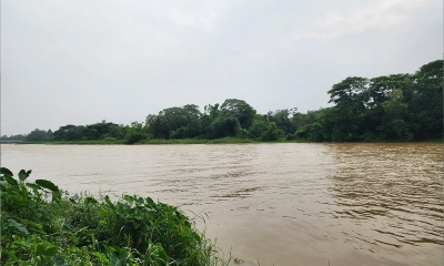 ফেনীতে মুহুরী নদীর পানি বৃদ্ধি, ভাঙন আতঙ্কে নির্ঘুমে নদী তীরবর্তী মানুষ