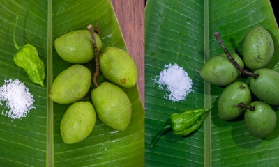 জলপাই খাওয়ার উপকারিতা