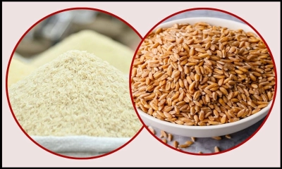 এক হাজার ৪৪ কোটি টাকার সিদ্ধ চাল ও গম কিনবে সরকার