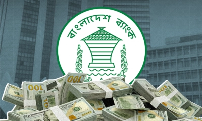 দেশে বৈদেশিক মুদ্রার রিজার্ভ ৩৫ বিলিয়ন ডলার