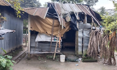 একটি ঘরের অভাবে মানবেতর জীবনযাপন করছেন শেফালী আক্তার
