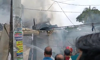 আগুন ৫ দোকানসহ ২০০ পাখি পুড়ে ছাই 