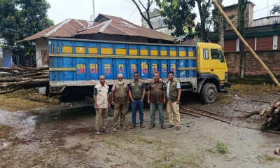 কাপাসিয়ার দরদরিয়া এলাকায় অভিযান চালিয়ে শাল-গজারি গাছ ভর্তি একটি ট্রাক জব্দ করেছে বন বিভাগ। ছবি- রূপালী বাংলাদেশ