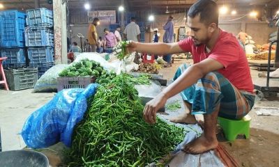 শ্রীপুরে কাঁচা মরিচের দাম ৪০০ টাকা কেজি।       ছবি- রূপালী বাংলাদেশ