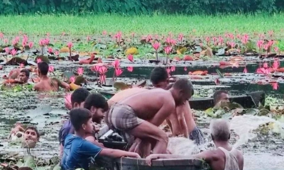 শাপলা তুলতে গিয়ে দুই বন্ধুর মৃত্যু