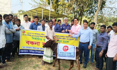 টুঙ্গিপাড়ায় বিকল্প কর্মসংস্থানের লক্ষ্যে জেলেদের বকনা বাছুর বিতরণ