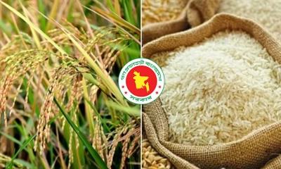 আমন মৌসুমে ধান-চাল সংগ্রহের লক্ষ্যমাত্রা নির্ধারণ