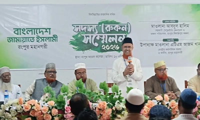 ‘কূটকৌশলের মাধ্যমে সরকার গণভোটের রায় বাতিল করেছে’