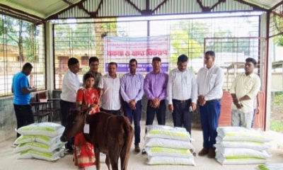 হরিপুরে ক্ষুদ্র নৃগোষ্ঠীর মাঝে বকনা বাছুর বিতরণ