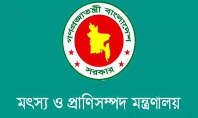 ভারতীয় গরু আমদানির ‘ভুয়া অনুমতিপত্র’ নিয়ে সতর্কতা জারি
