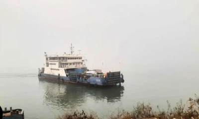 দৌলতদিয়া–পাটুরিয়া রুটে ফেরি চলাচল স্বাভাবিক