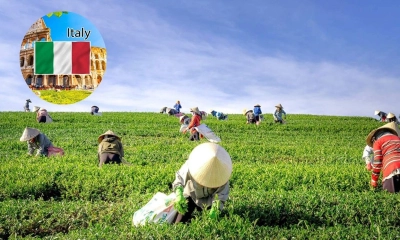 বাংলাদেশিদের জন্য বড় সুখবর, ৫ লাখ কর্মী নেবে ইতালি