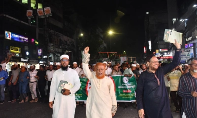 নির্বাচন যত দ্রুত হবে জামায়াতে ইসলামী ততই উপকৃত হবে: বুলবুল