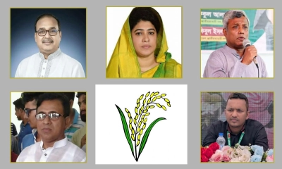 যশোরে ধানের শীষে লড়াই করবেন যারা