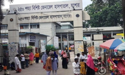 যশোরে জামাইয়ের ছুরিকাঘাতে শ্বশুর, শাশুড়ি ও শ্যালক আহত