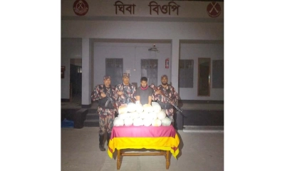 সীমান্তে পাচারকারীসহ ৪৩ কেজি ভারতীয় গাঁজা আটক