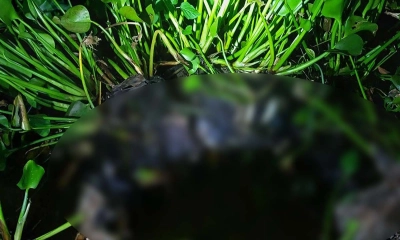 ভারত সীমান্তবর্তী বাওড় থেকে মানুষের কঙ্কাল উদ্ধার