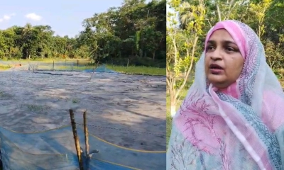 ঝালকাঠিতে নারীর জোরপূর্বক জমি দখলের অভিযোগ