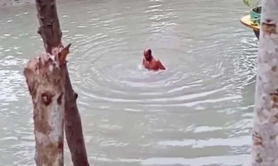 খালে ১০০ ডুব, ৫০০ টাকার বাজি পরিণত হলো প্রাণহানিতে