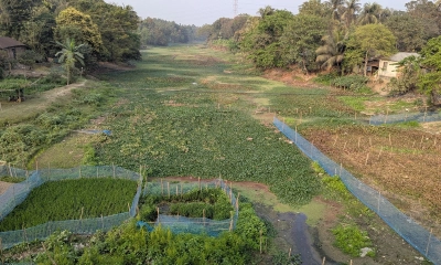 ঝিনাইদহে দখল-দূষণে মৃতপ্রায় ১২ নদ-নদী