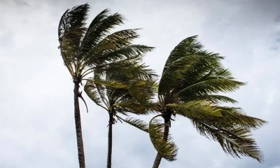 সকালে ৮০ কিমি বেগে ঝড়ের শঙ্কা, যেসব জেলায় সতর্কতা জারি