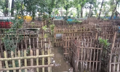 ঝিনাইদহ পৌর কবরস্থানে অল্প বৃষ্টিতেই জমে যায় পানি, সৃষ্টি হয় জলাবদ্ধতা। ছবি- রূপালী বাংলাদেশ