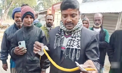 ছবি- রূপালী বাংলাদেশ