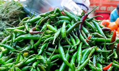 কাঁচা মরিচের দাম বৃদ্ধি।   ছবি- সংগৃহীত