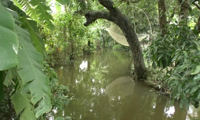 দখল-দূষণে সংকোচিত খাল