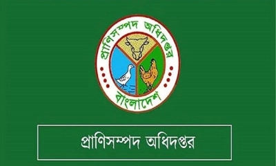 এইচএসসি পাসে প্রাণিসম্পদ অধিদপ্তরে ৪৮৩ পদে নিয়োগ