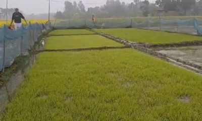 তীব্র শীতে বিপর্যস্ত জয়পুরহাটের জনজীবন