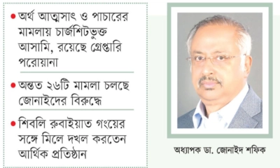 ‘বিএনপিপন্থি’ হয়ে ফিরতে  চান ডা. জোনাইদ শফিক