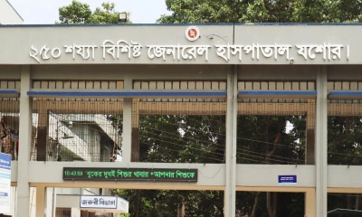 বাদুড়ের মাংস খেয়ে একই পরিবারের ৬ জন হাসপাতালে